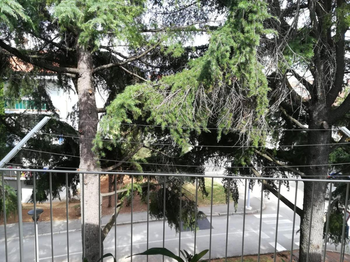 Apartment Bono Poreč Dış mekan fotoğraf
